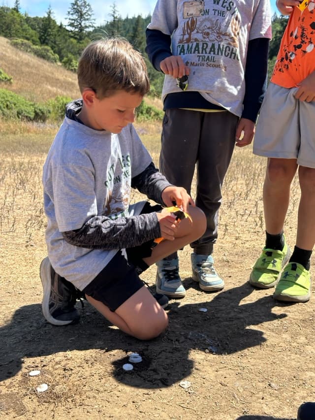 Chapter activity 1